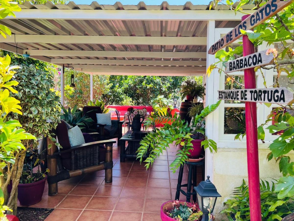 Casa Lazaro, Tegueste Extérieur photo